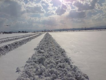 雪わり